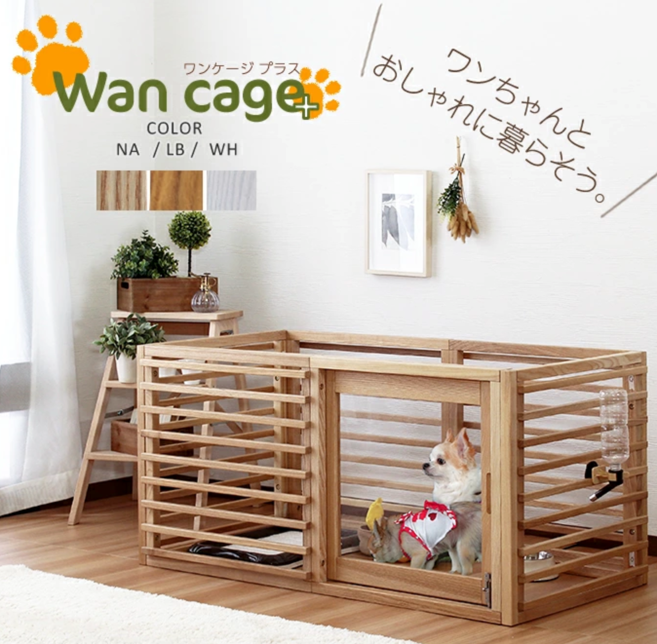 WAN CAGE