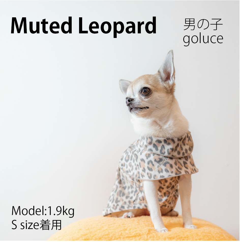 MUTED LEOPARD 男の子
