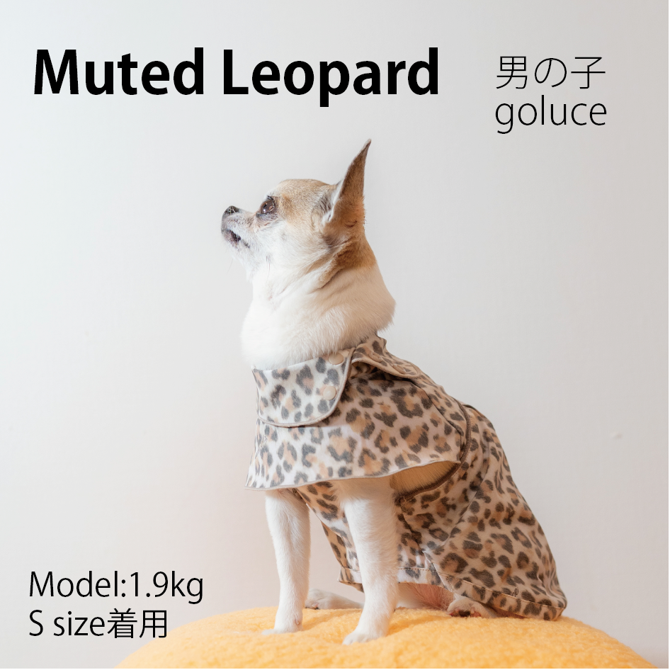 MUTED LEOPARD 男の子