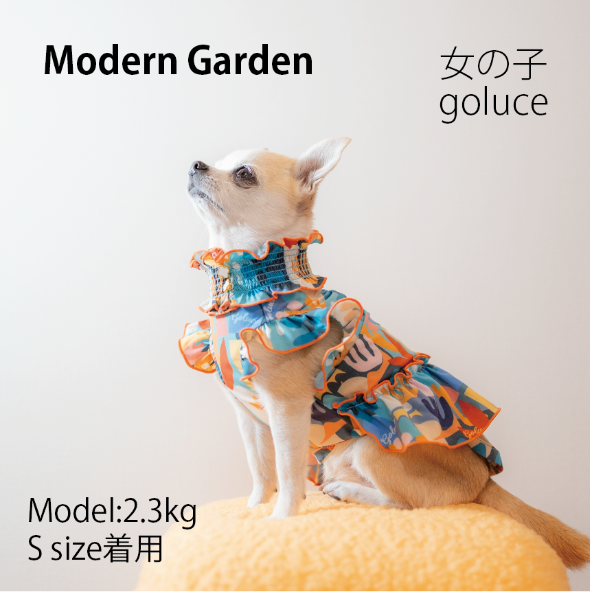 Modern Garden 女の子