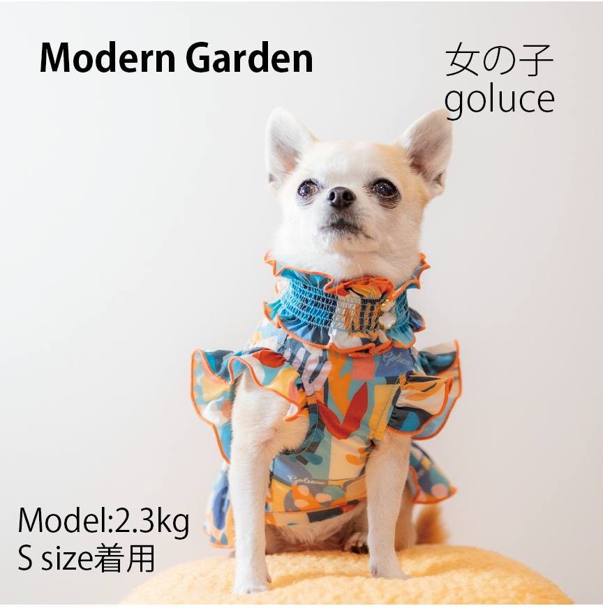 Modern Garden 女の子