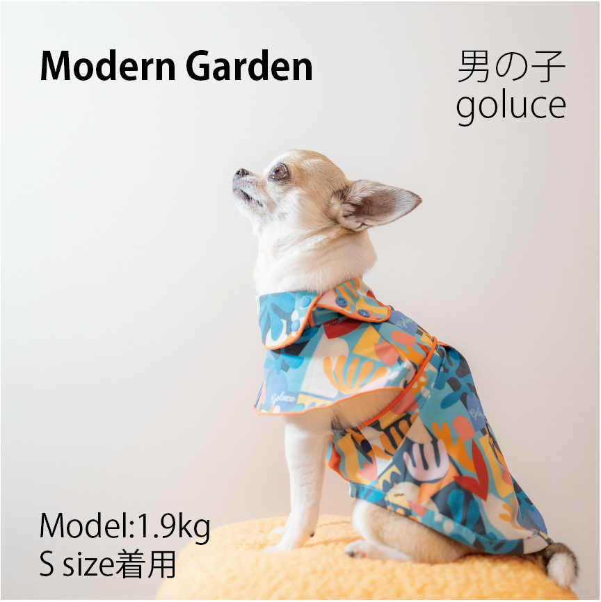Modern Garden 男の子
