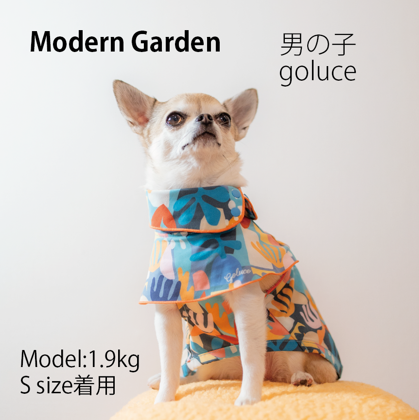 Modern Garden 男の子