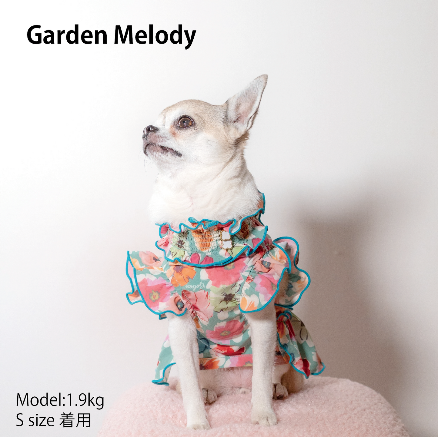 Garden Melody　女の子