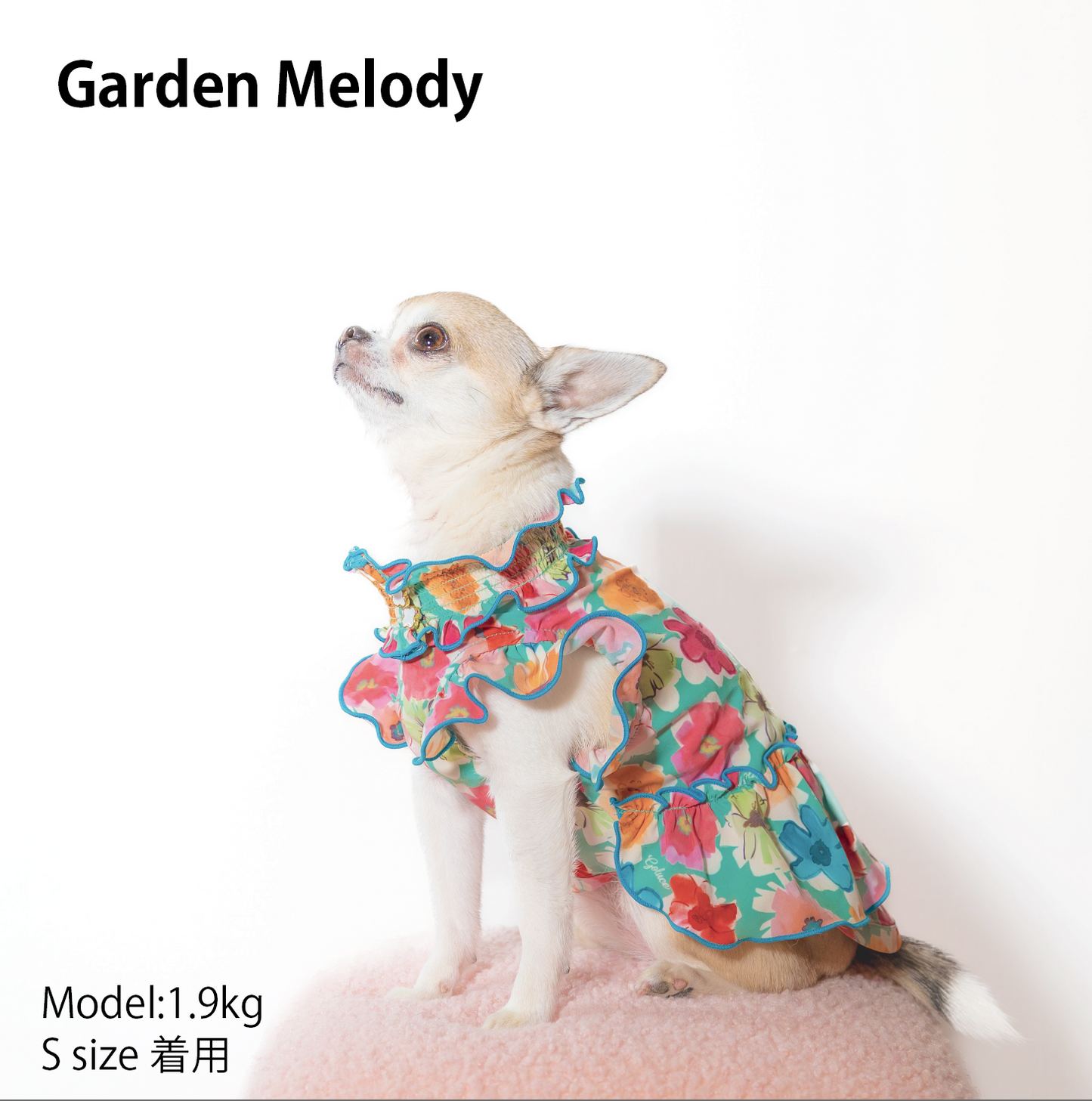 Garden Melody 女の子
