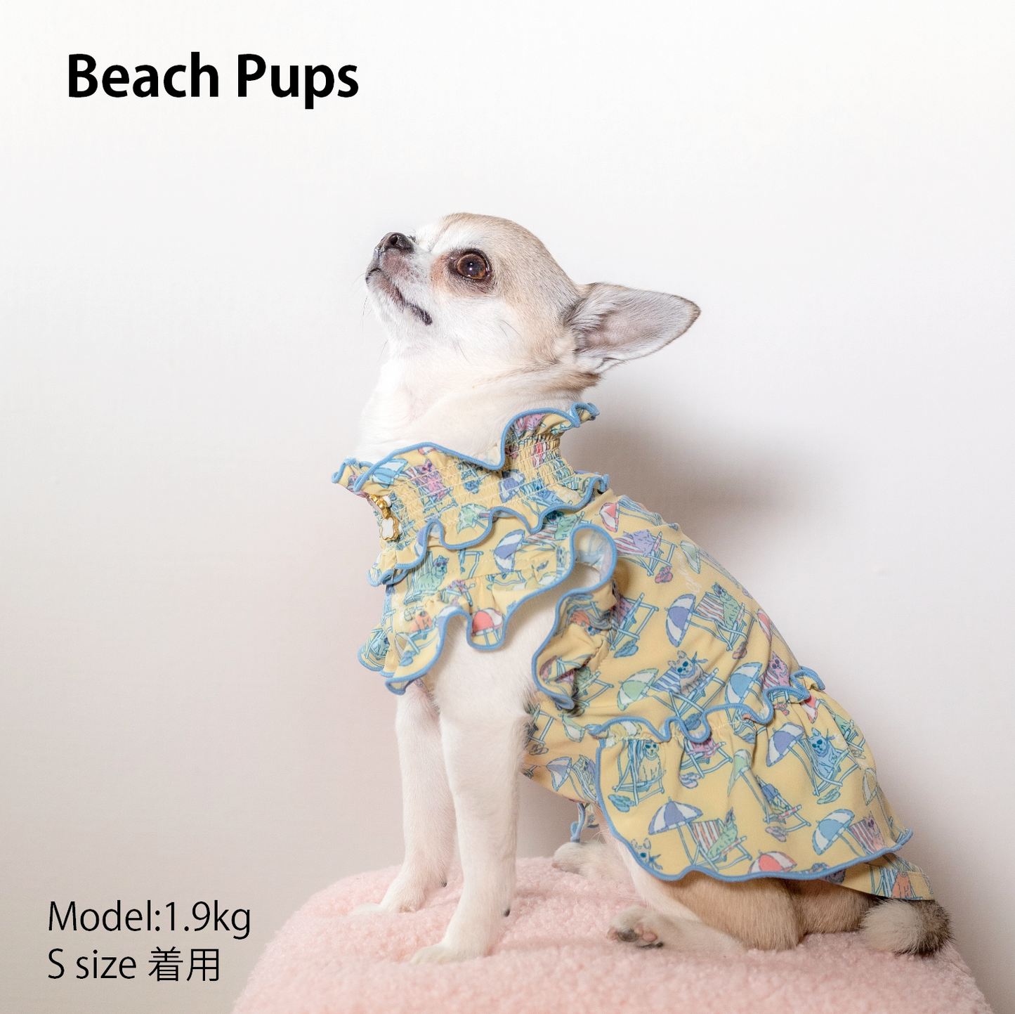 Beach Pups　女の子