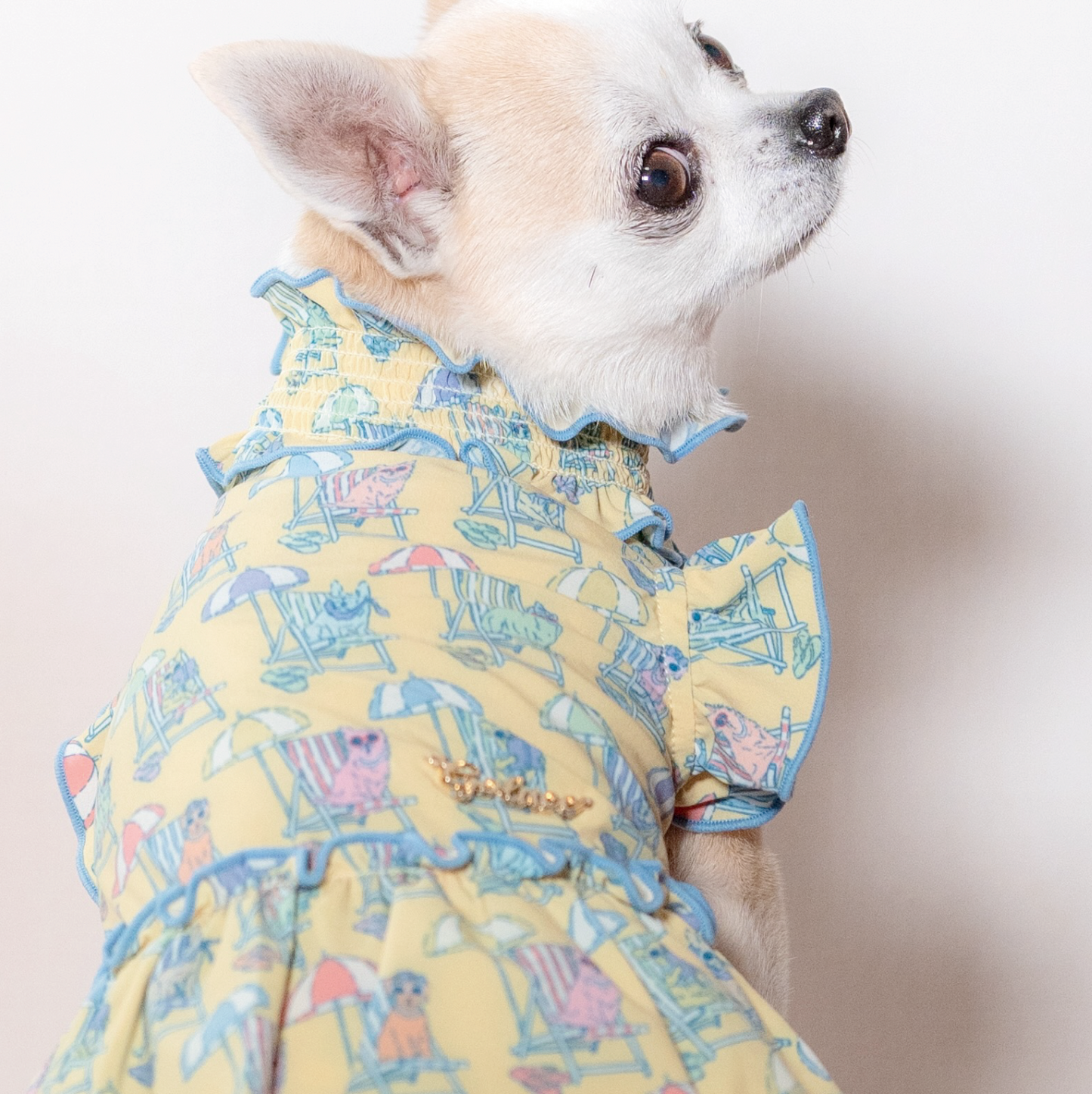 Beach Pups　女の子