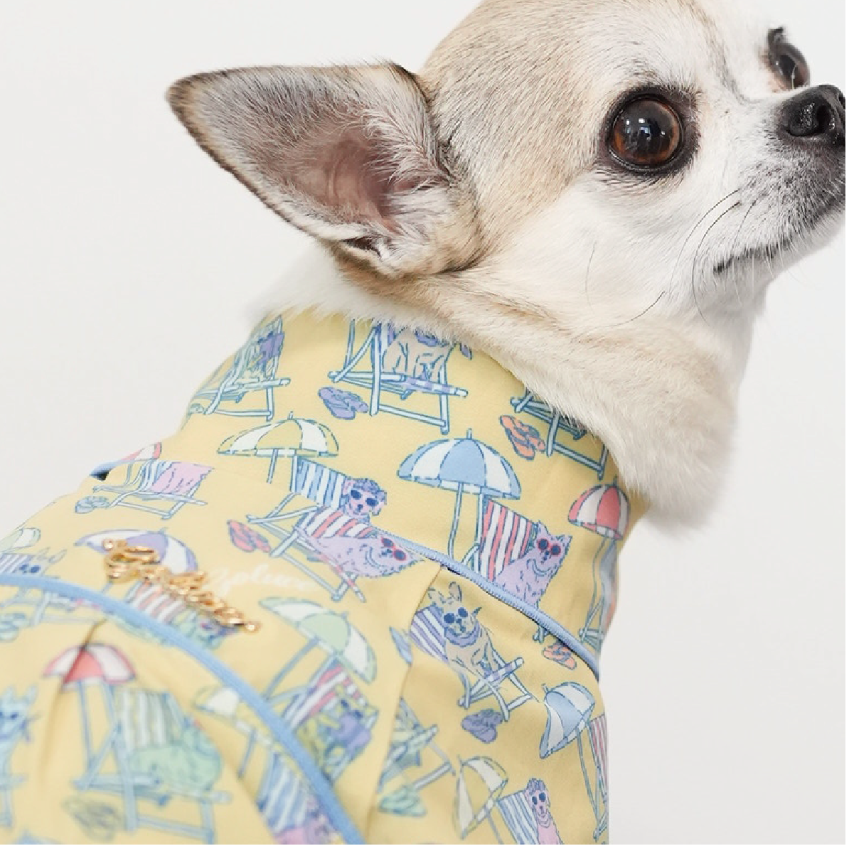 Beach Pups 男の子