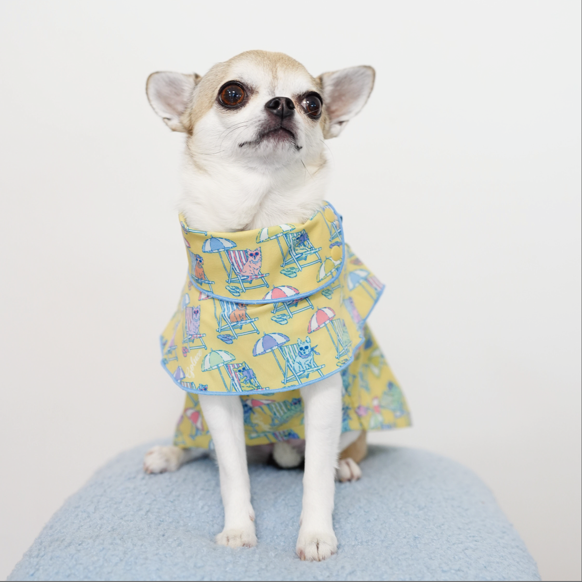 Beach Pups 男の子