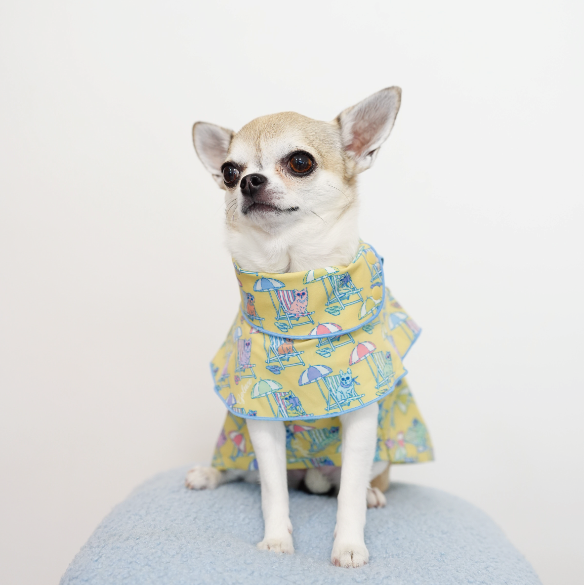 Beach Pups 男の子