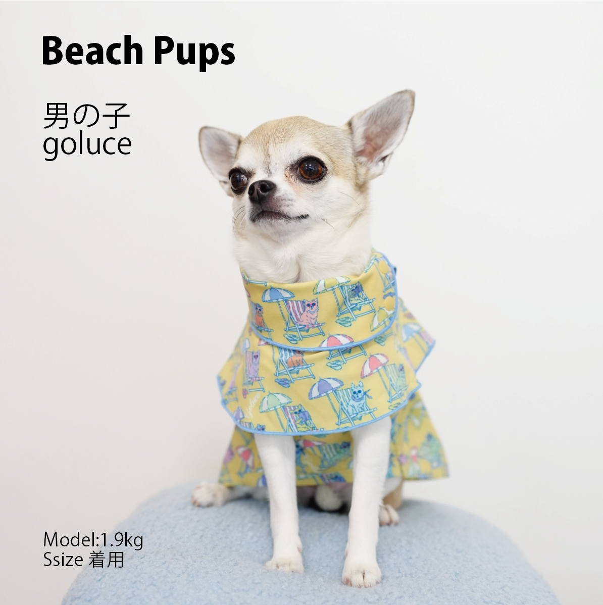 Beach Pups 男の子