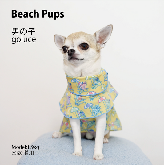 Beach Pups 男の子