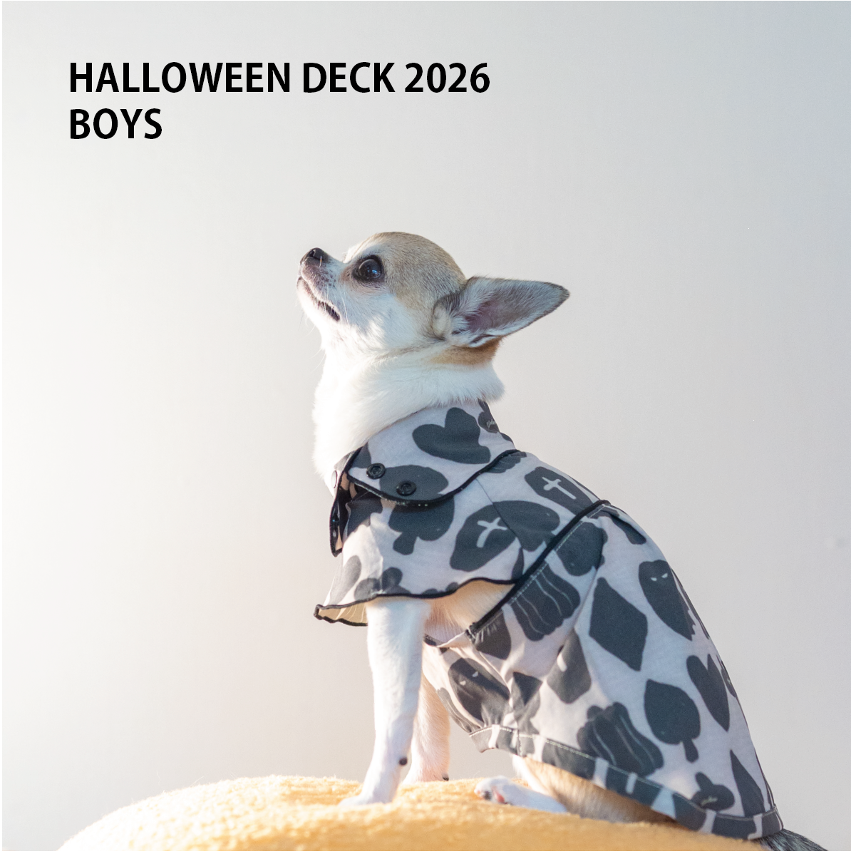 HALLOWEEN DECK 2026 男の子