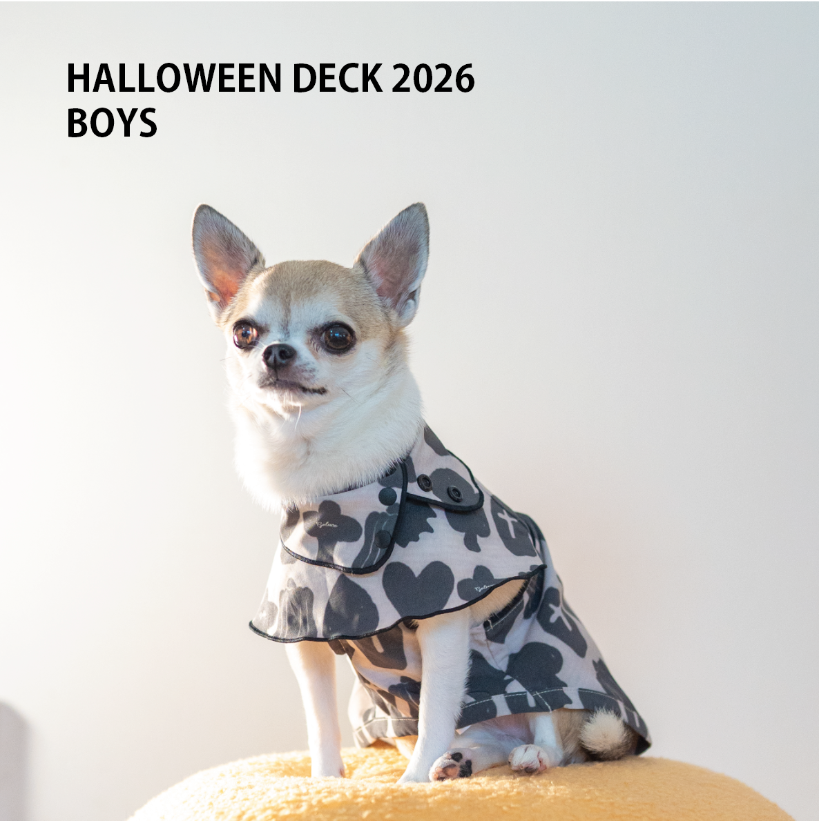 HALLOWEEN DECK 2026 男の子