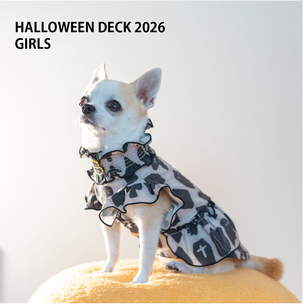 HALLOWEEN DECK 2026 女の子