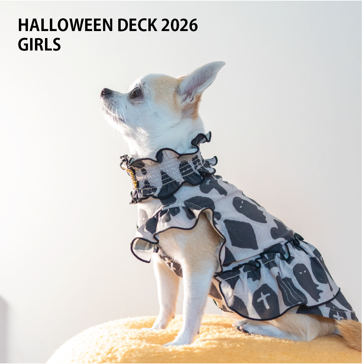HALLOWEEN DECK 2026 女の子