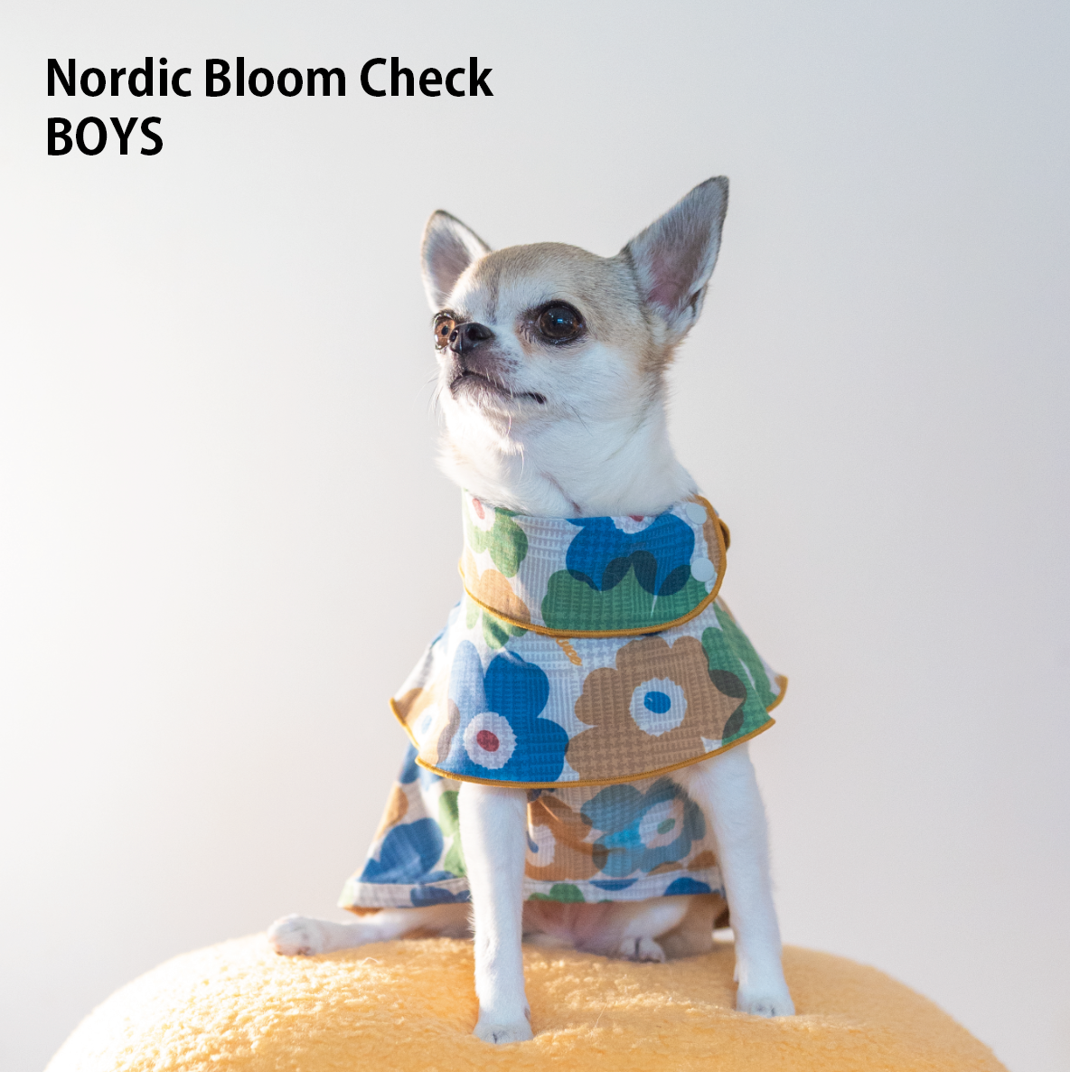 NORDIC BLOOM CHECK 男の子