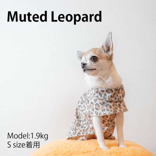 MUTED LEOPARD